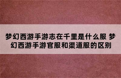 梦幻西游手游志在千里是什么服 梦幻西游手游官服和渠道服的区别